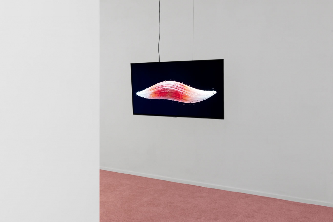 SARAH-JANE HOFFMANN Ritual Tissue 2016