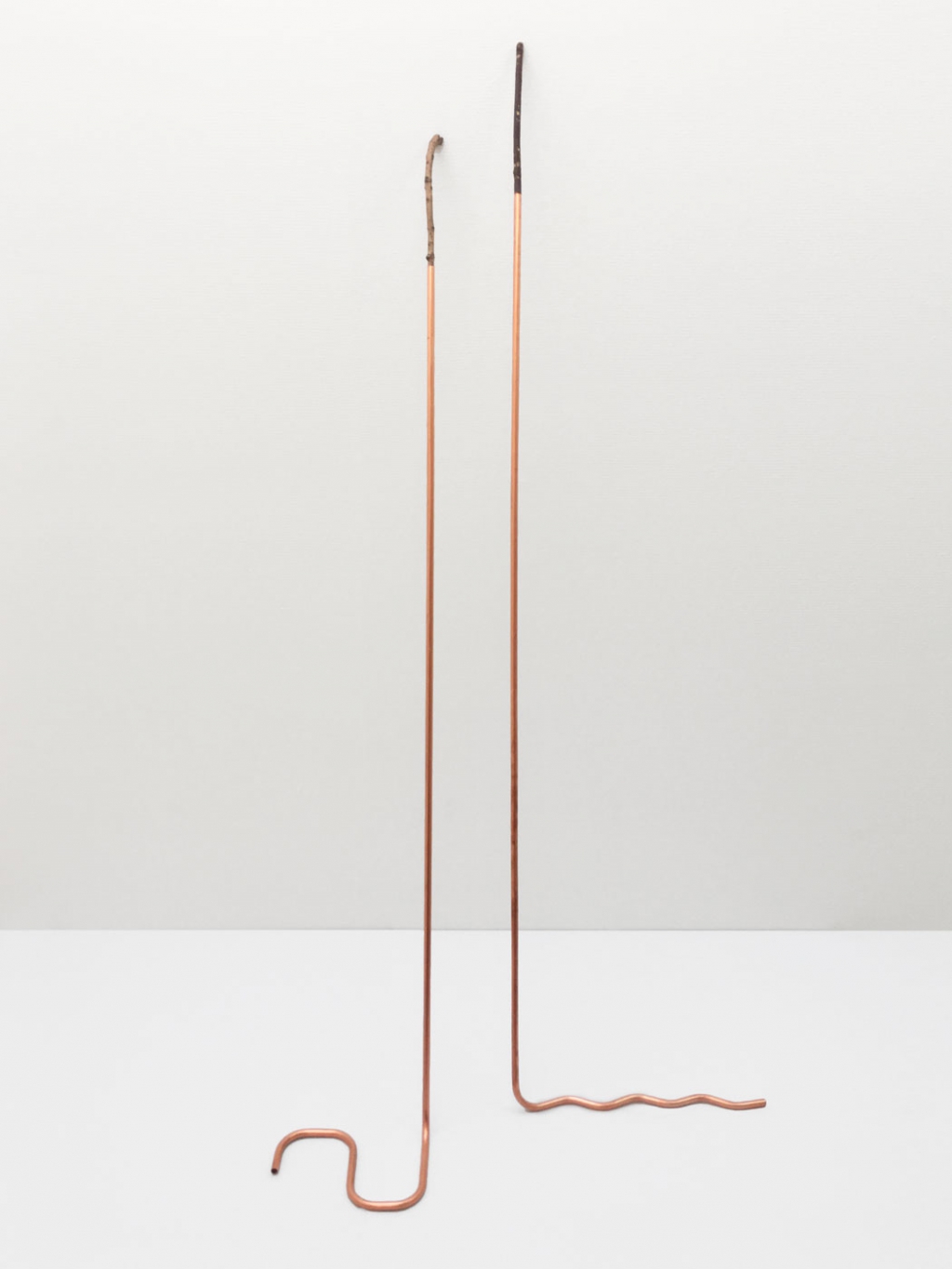 SARAH-JANE HOFFMANN To fit a Prosthesis 2015